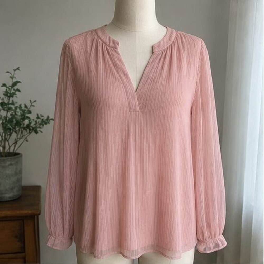 Blush Pleated Blouse